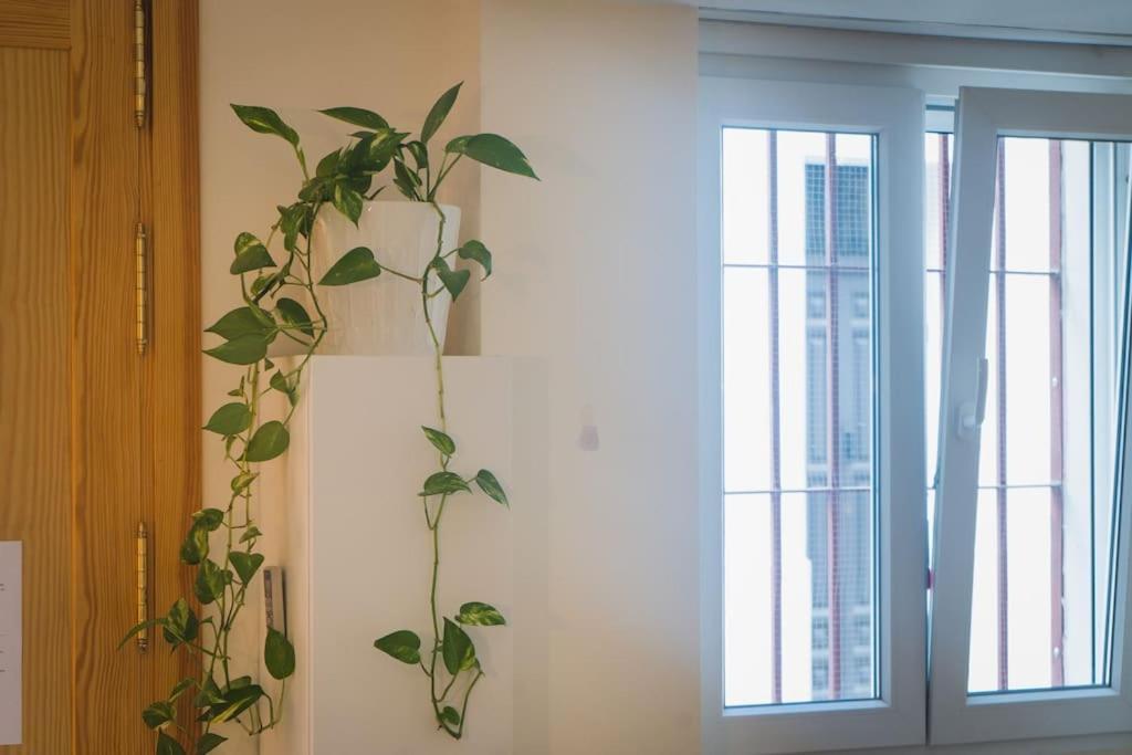 Estudio A Estrenar En Sta Clara Siviglia Esterno foto